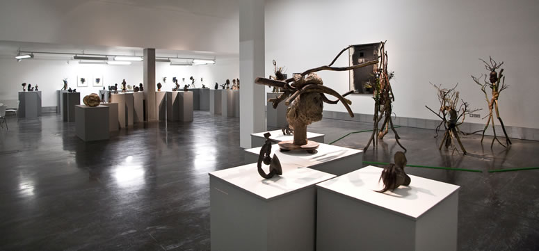 Exhibition installed at The New Art Exchange. Photo by Bartosz Kali