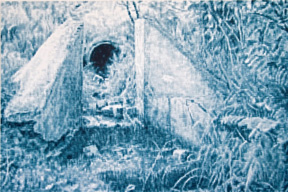 The Pipe, 2007, acrylic on canvas, 71 x 107cm