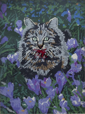 Feles 2010, needlepoint